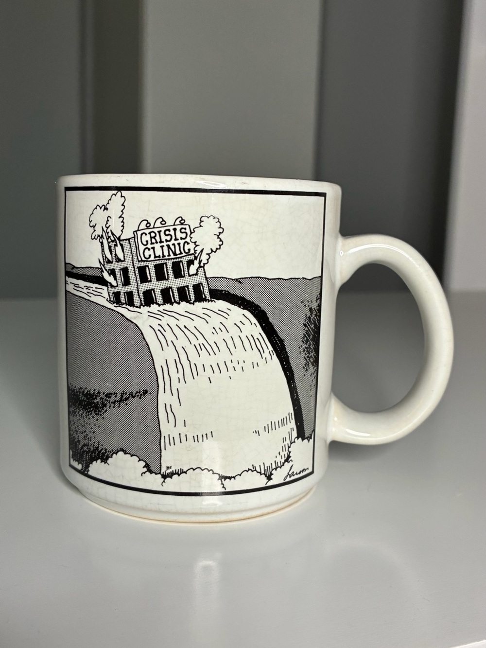 The Far Side Mug